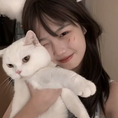 鱼丸游戏app下载正版
