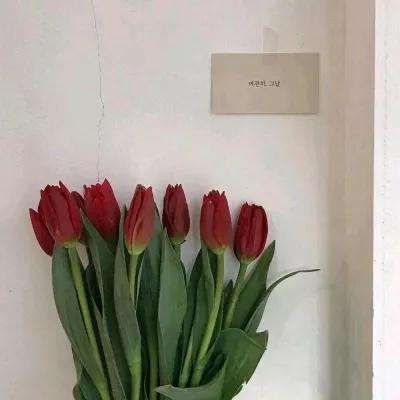 泰坦纪元益玩版下载