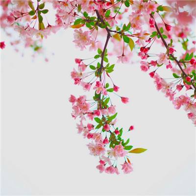 太初妖神录游戏下载