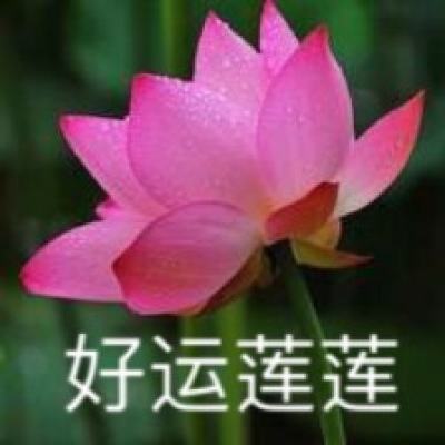 帝王雄心手游好玩友版下载